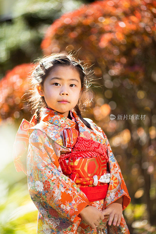 Cute Japanese girl in Kimono in Autumn nature 七五三